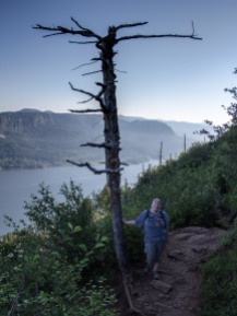 Columbia Gorge - Hike up to Angel's Rest